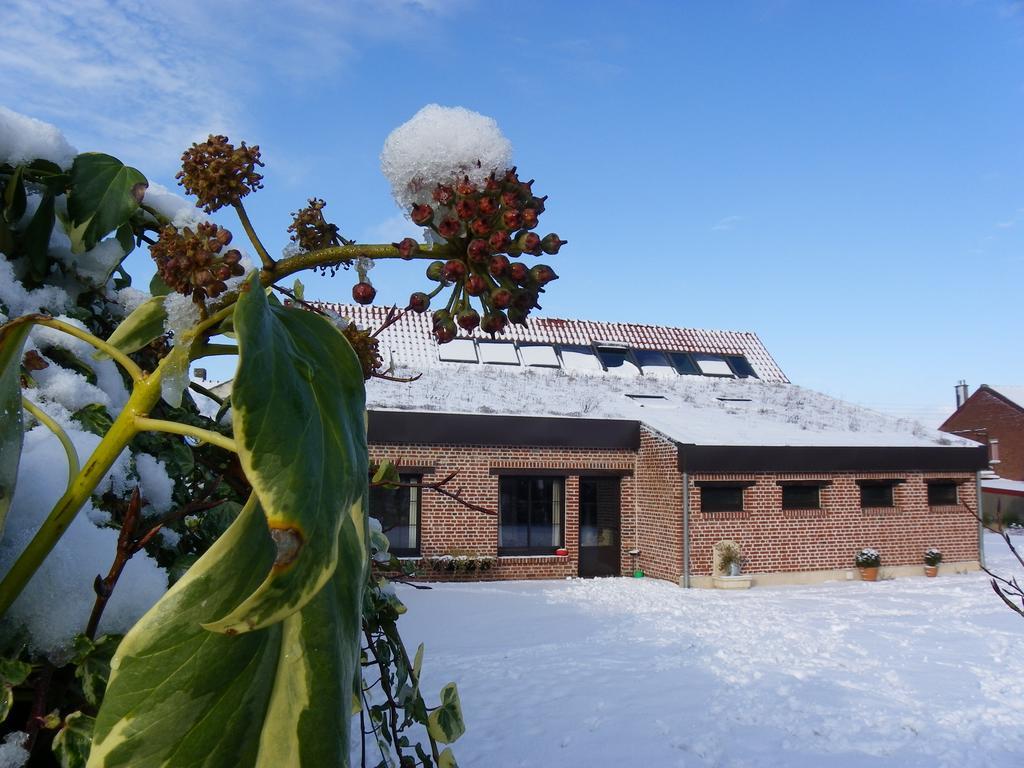 Вилла Fleur De Ciel Loos-en-Gohelle Экстерьер фото